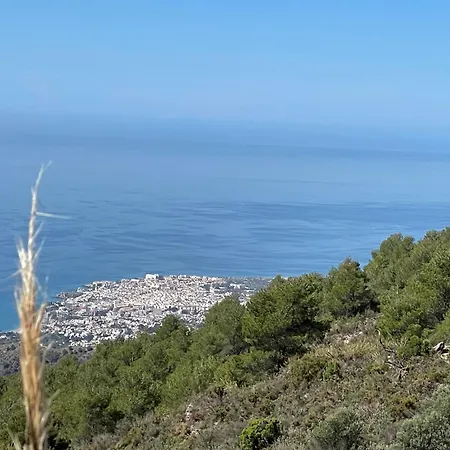 Zalig Aan Zee! نيرخا